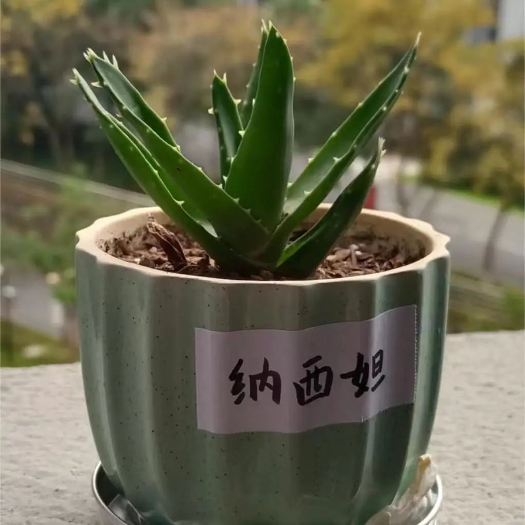 澳门六合彩高手