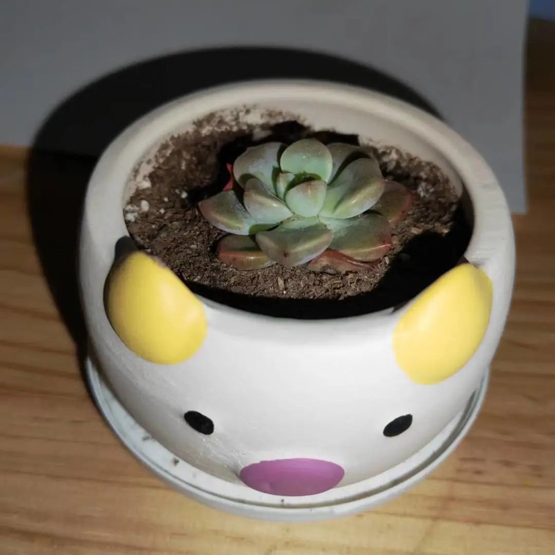澳门六合彩高手