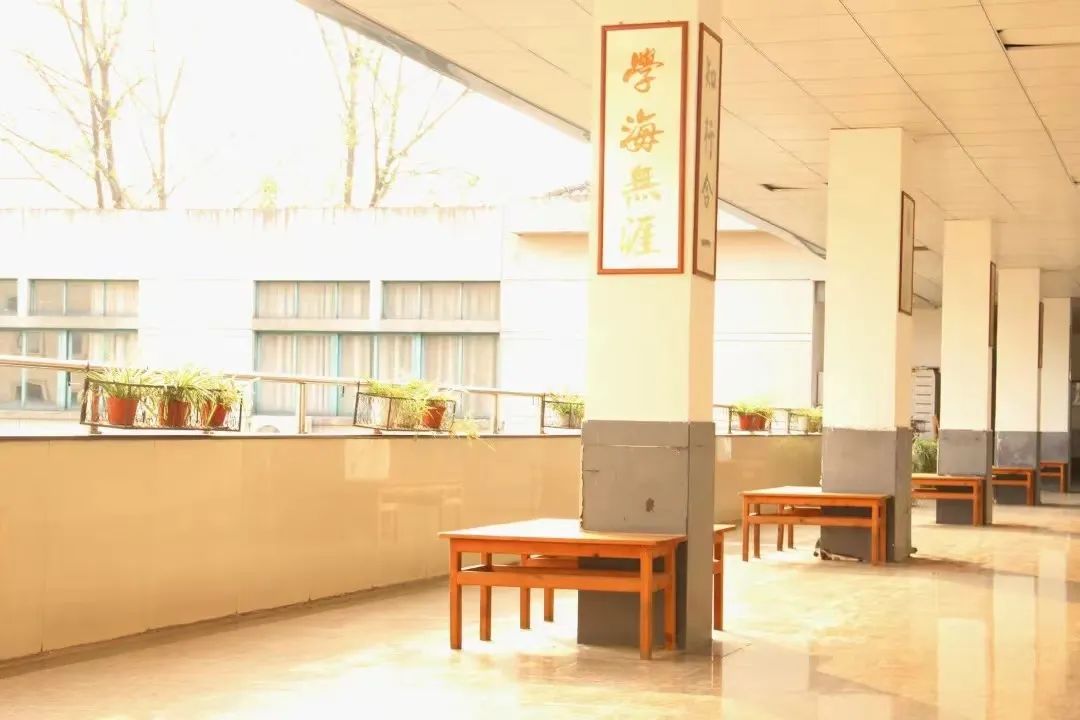 澳门六合彩高手