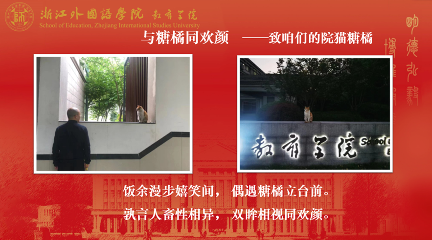 澳门六合彩高手