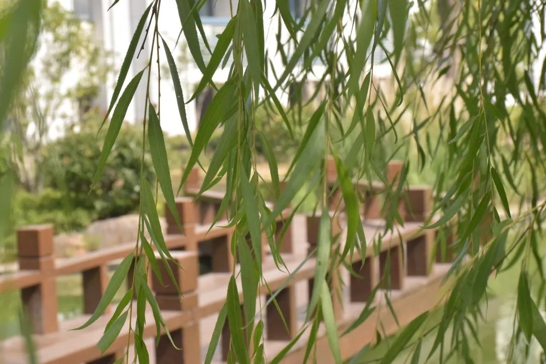 澳门六合彩高手