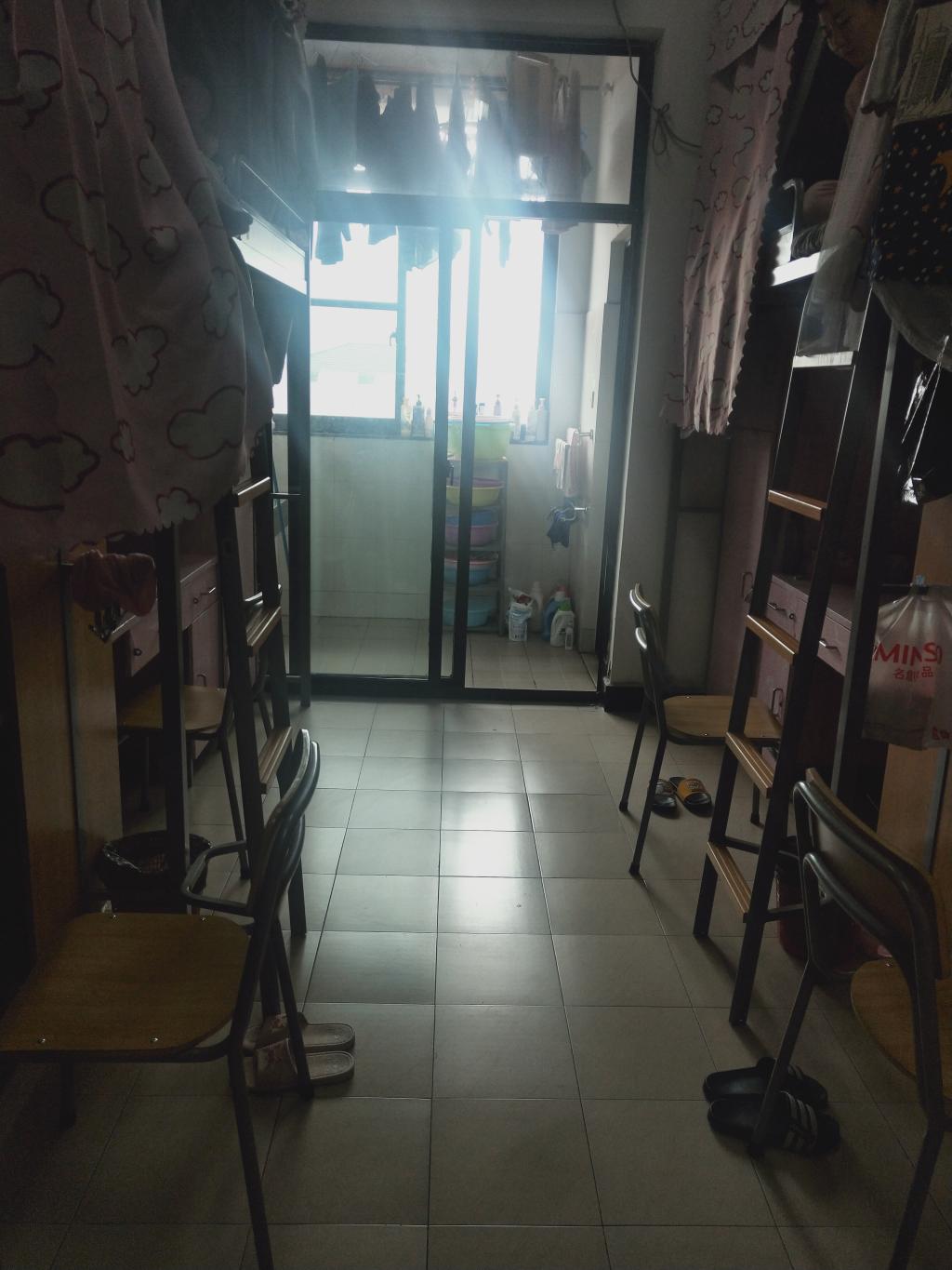 澳门六合彩高手