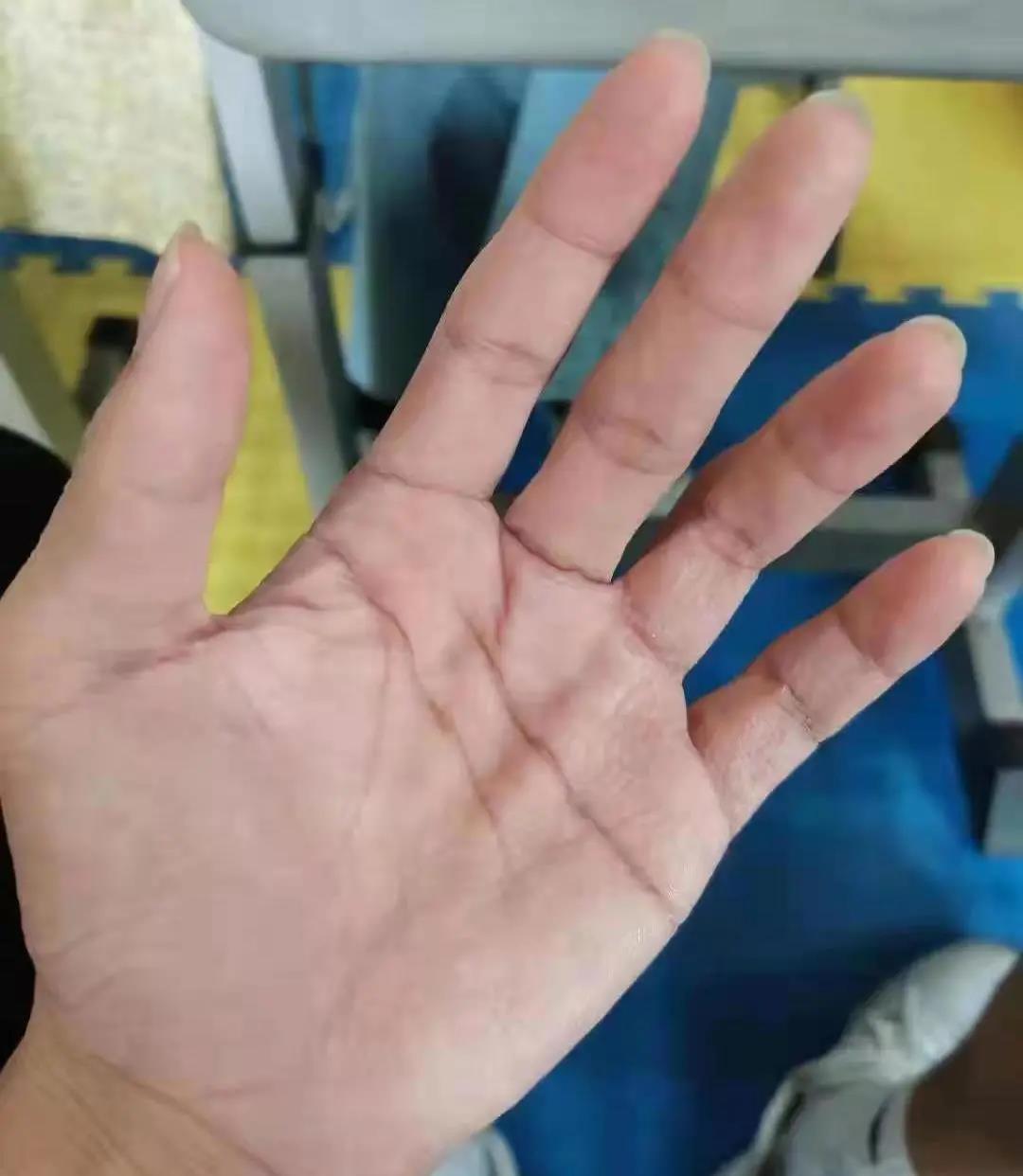 澳门六合彩高手